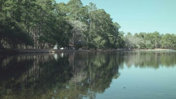 indiana state parks
